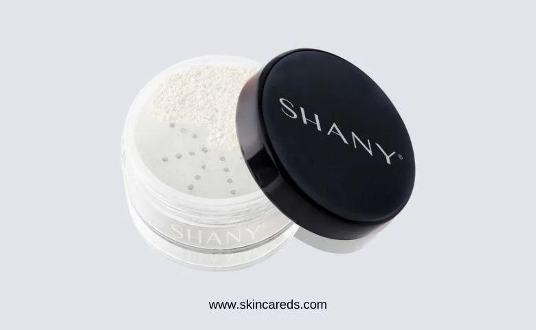 Best Translucent Powder for Oily Skin-SHANY HD Finishing Powder Translucent